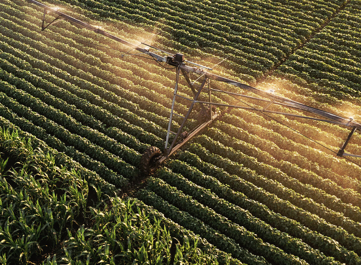 Wordpress Experts - Melbourne Wordpress Developers